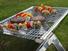 Quality Longzhao BBQ Brand gas barbecue bbq grill 4+1 burner red
