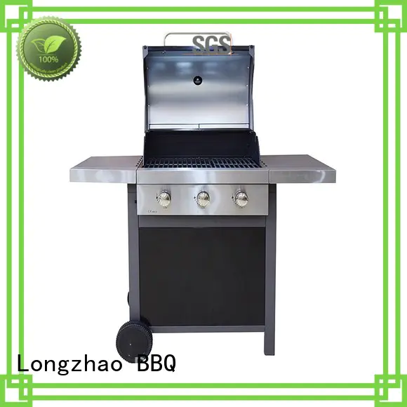 2 burner gas grill backyard Longzhao BBQ Brand best gas bbq