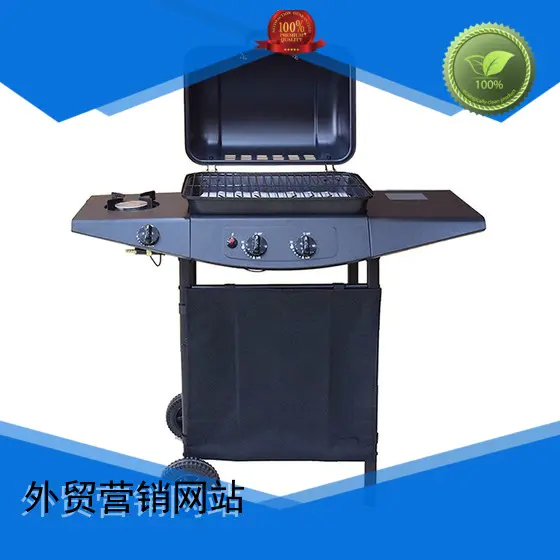 professional barbecue 2 burner gas grill bbq low price Longzhao BBQ Brand